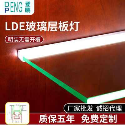 LED Moderne Aluminium Einzelglas-Regallicht mit warmen weißen Naturlichtern