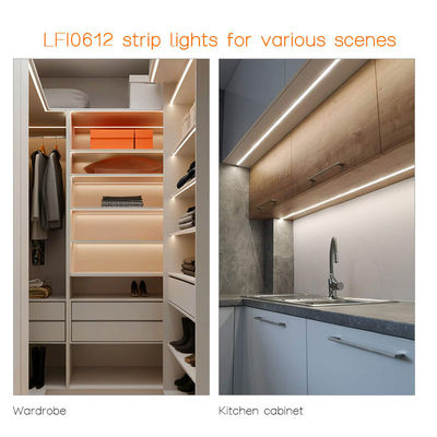 24V/12V.DC 10W flexibler Neonlichtstreifen für Decorationsschränke