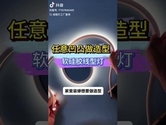 flexibler Neonlichtstreifen