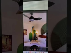 LED Deckenventilator Licht gute Qualität Bestseller